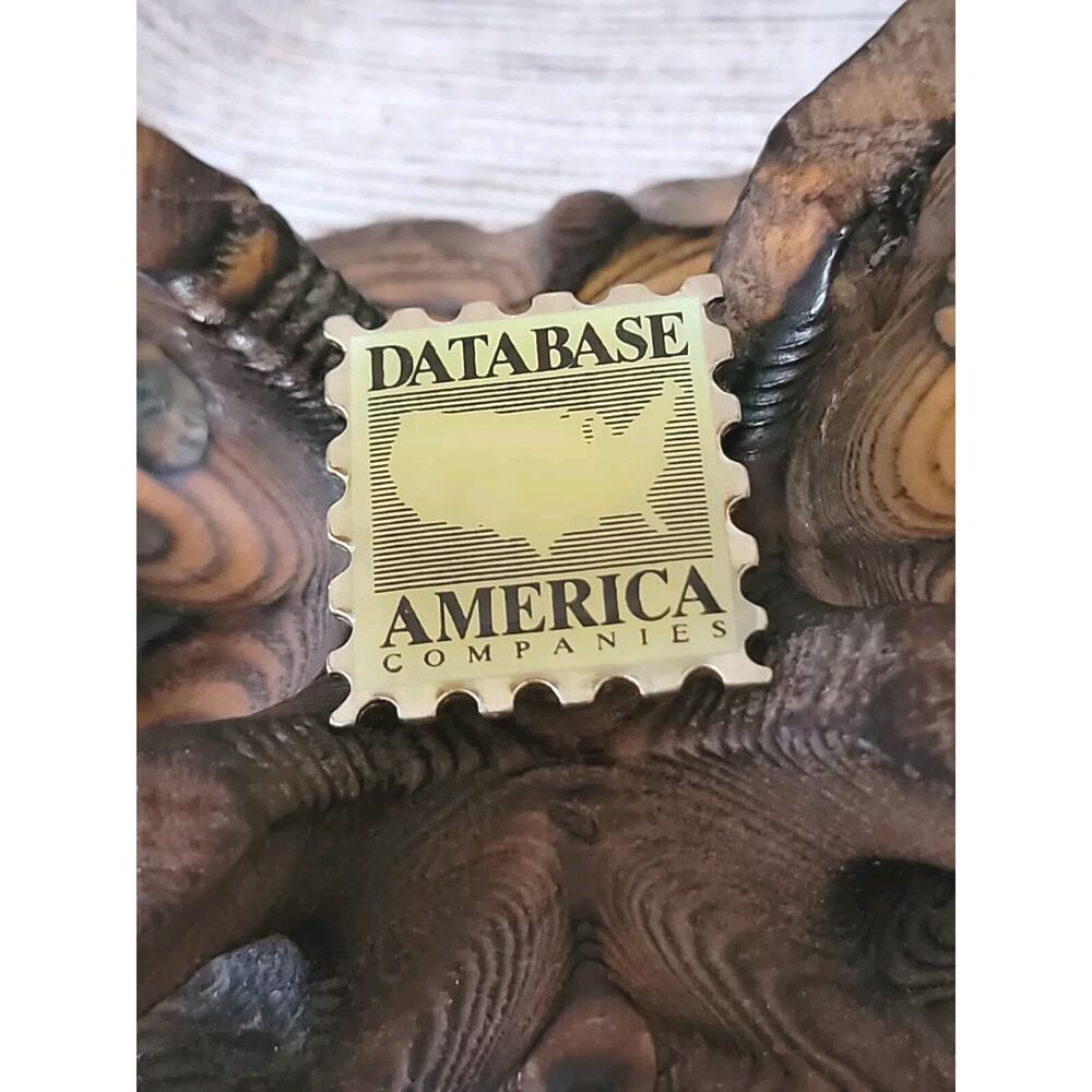 Vintage America Companies Database Pin United States Map Hat Lapel Pin